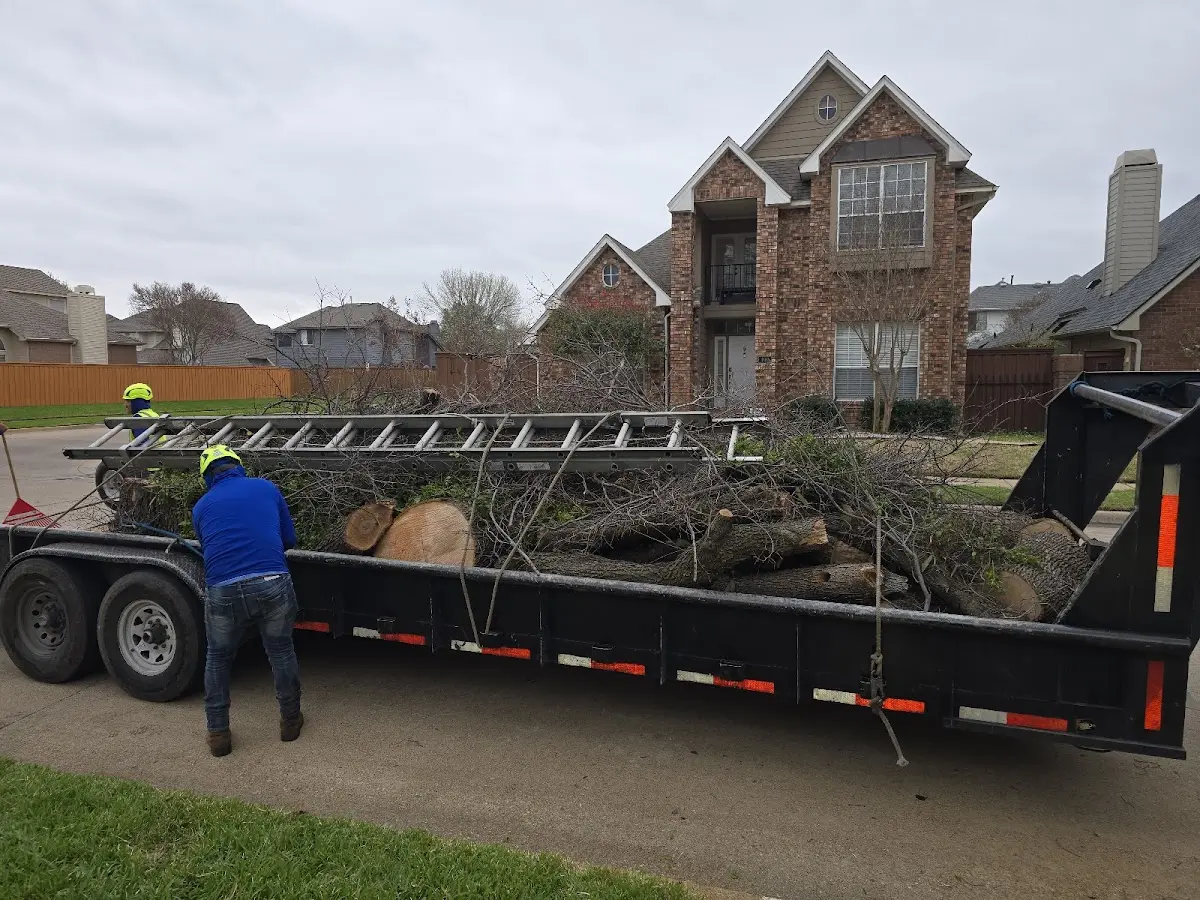 Expert Tree Pest Control with proper safety equipment in Clarks Grove